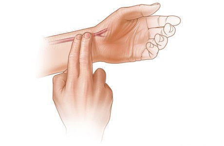 استفاده از سر انگشتان برای لمس نبض‌ها