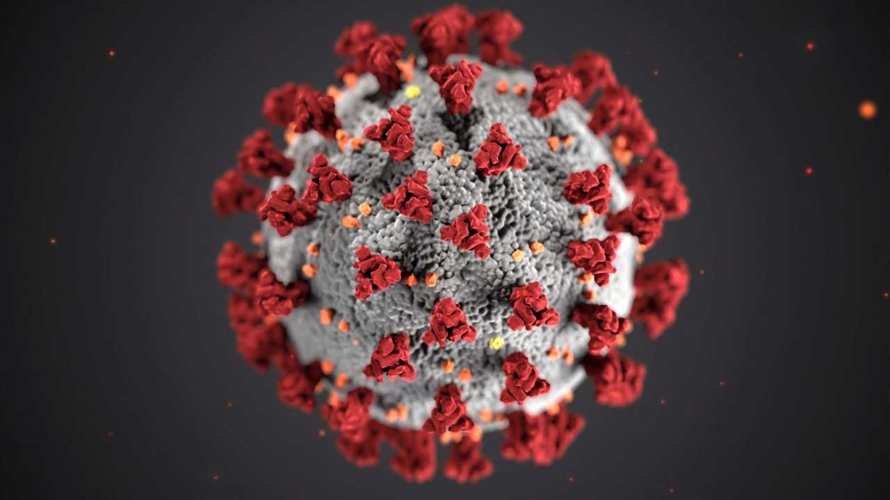 ظاهر شبیه سازی شده ویروس کرونا - نبض هوشمند سلامت